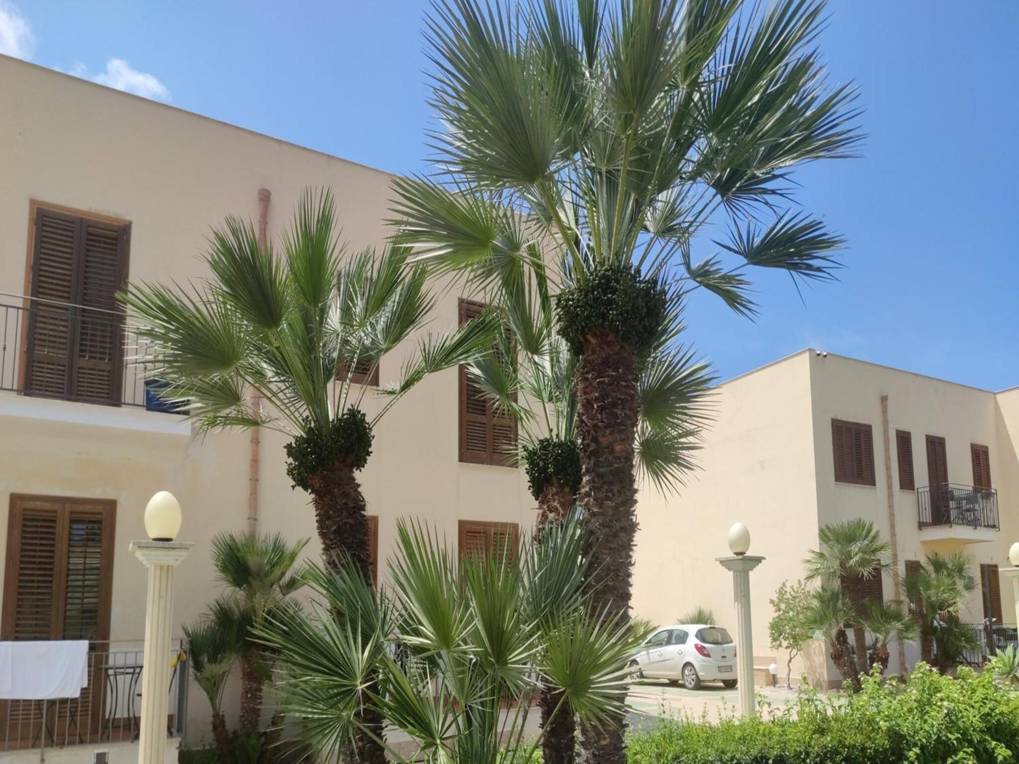 Appartamento Valentina San Vito Lo Capo Esterno foto